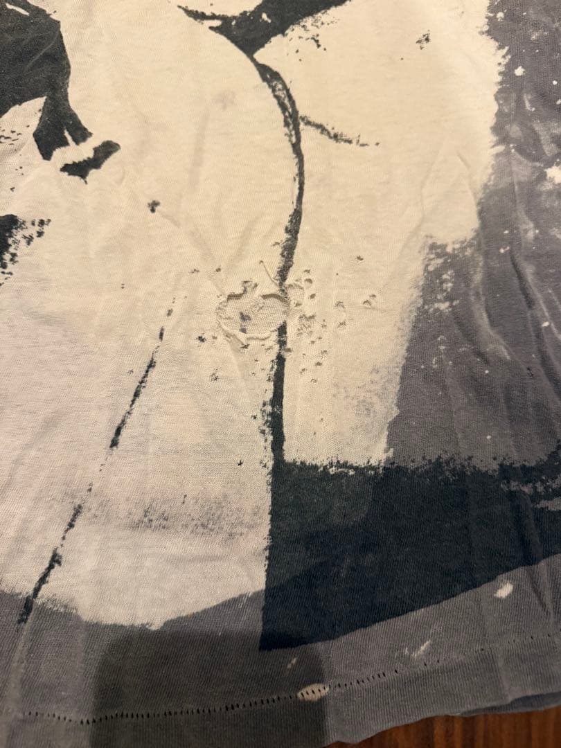 80's Mosquitohead Iggy Pop イギーポップ ボロ