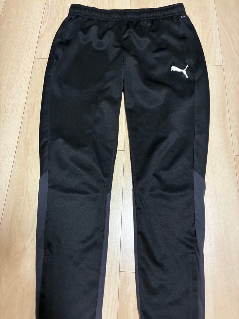 セレッソ大阪　支給　上下セット　トラックジャケット3点 XL