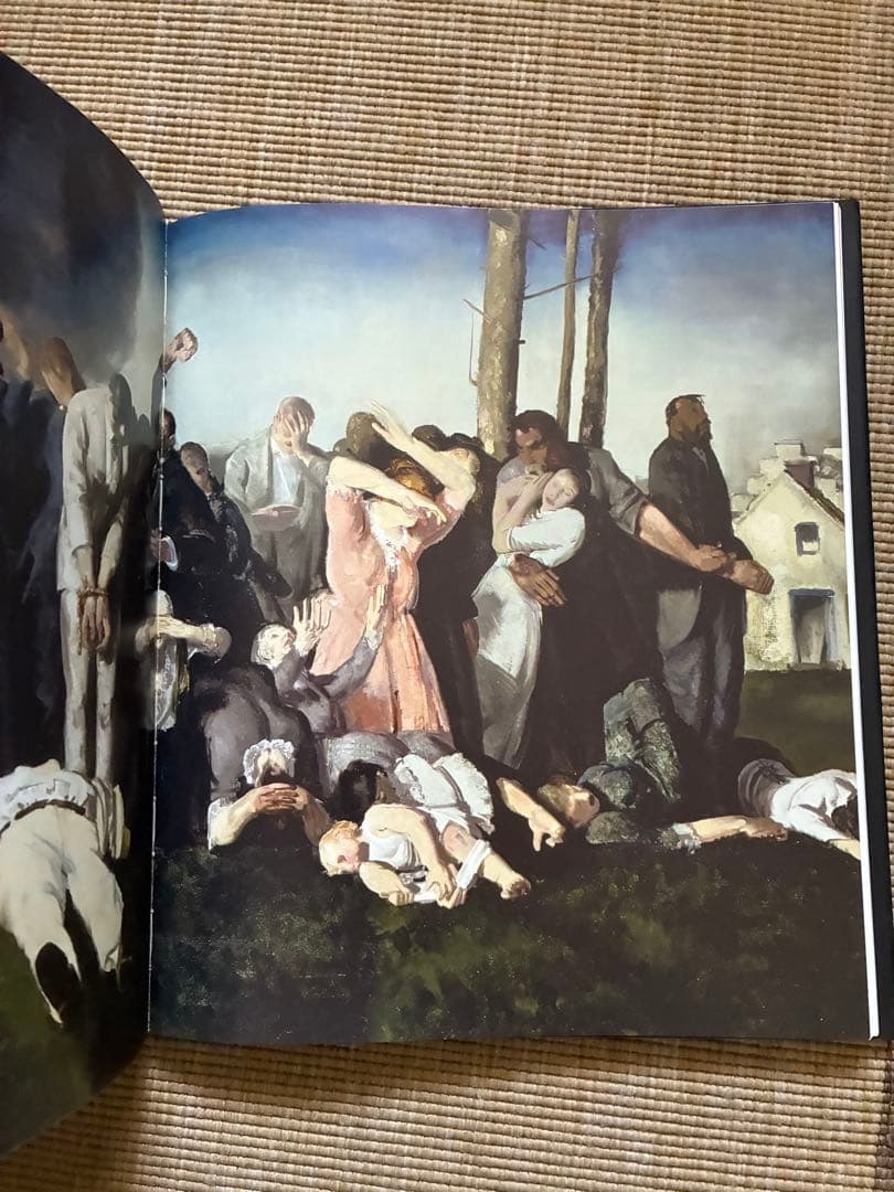 e Bellows ハードカバー