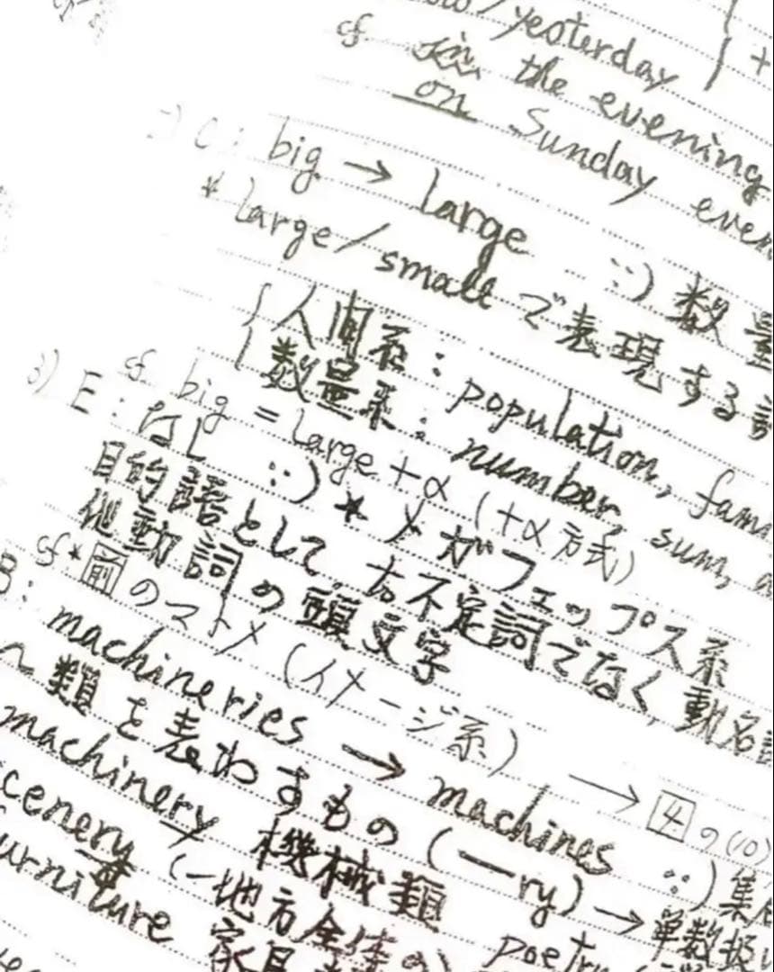 【夏&冬セット❗️】駿台 テキスト 久山道彦先生 英文法入試問題　 河合塾　鉄緑会