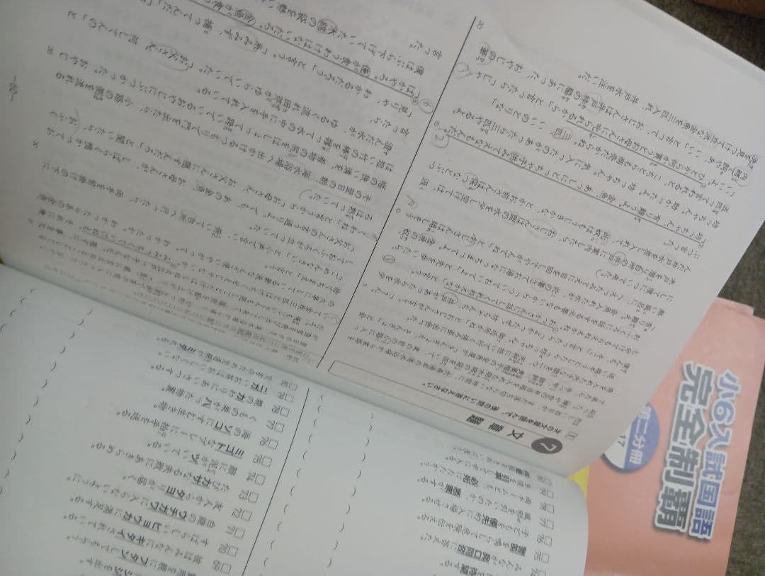 浜学園　小6　 国算理テキスト　2024年受験使用　中古