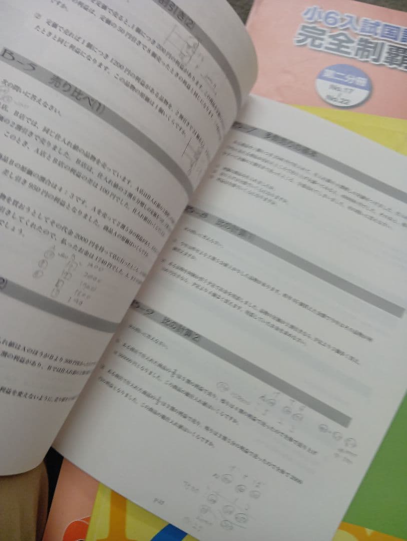 浜学園　小6　 国算理テキスト　2024年受験使用　中古