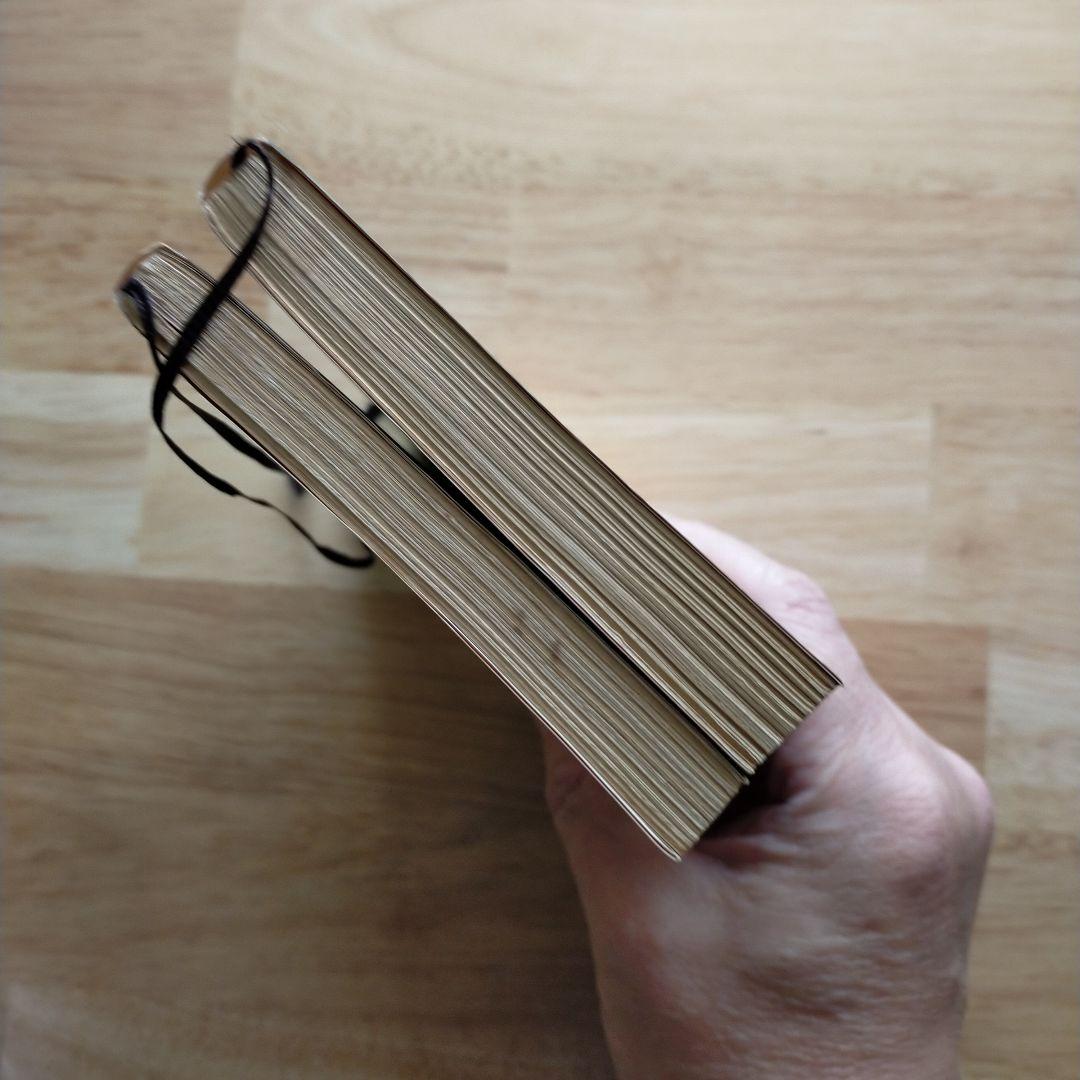 E・R・バローズ〈月シリーズ〉2冊セット 創元推理文庫／初版・帯付／SF古典