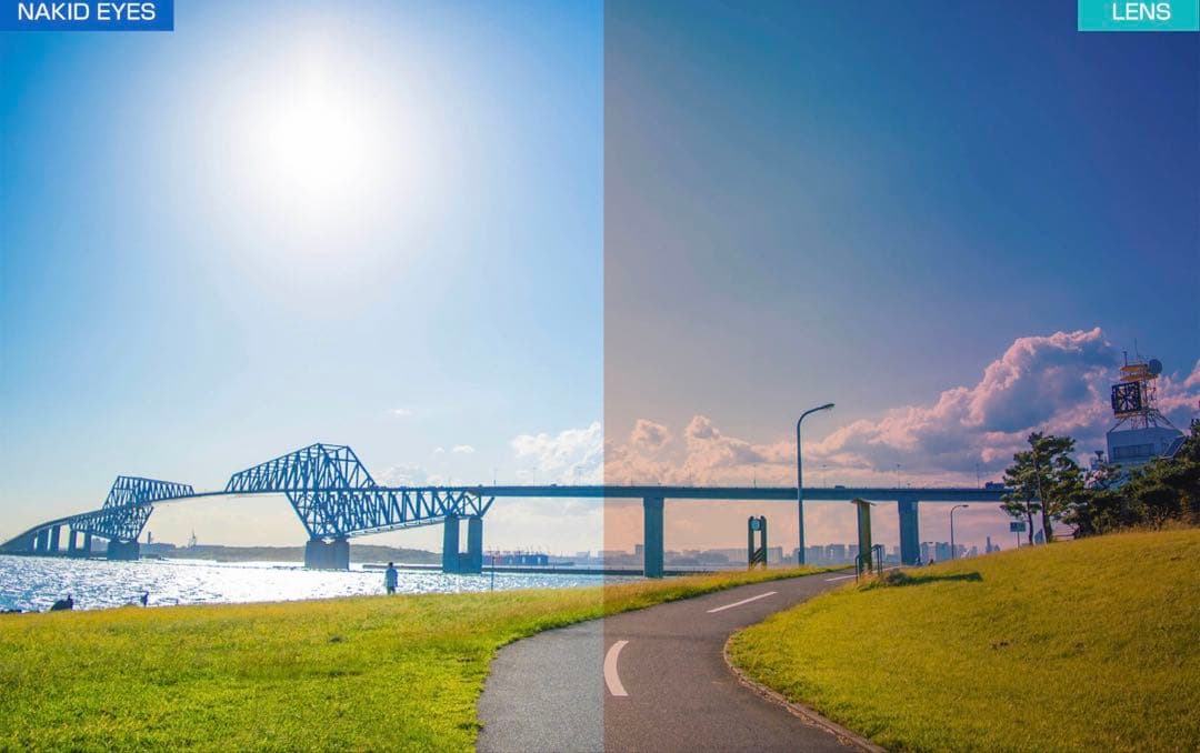 【未使用品】エアフライAirFly サングラス AF-301 C-32WV 偏光