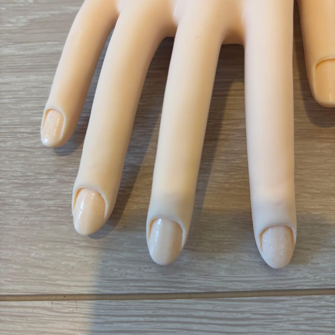 認定モデルハンド 2セットまとめ売り 検定 ジェルネイル検定 ネイリスト検定