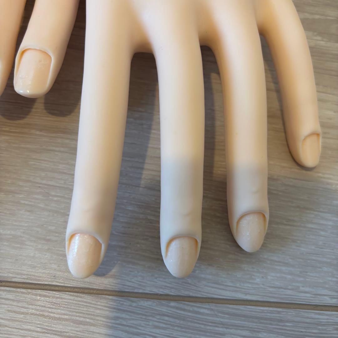 認定モデルハンド 2セットまとめ売り 検定 ジェルネイル検定 ネイリスト検定