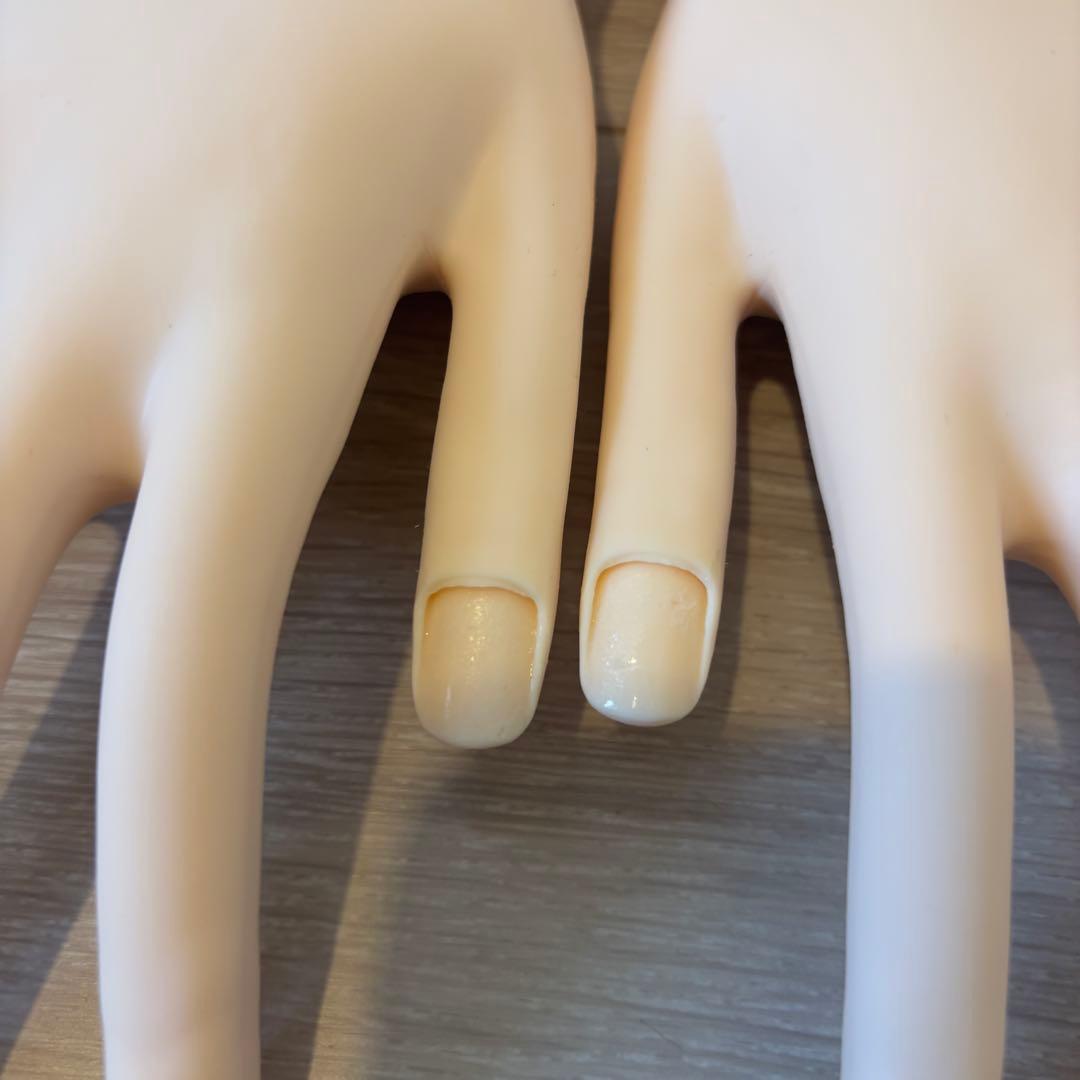 認定モデルハンド 2セットまとめ売り 検定 ジェルネイル検定 ネイリスト検定