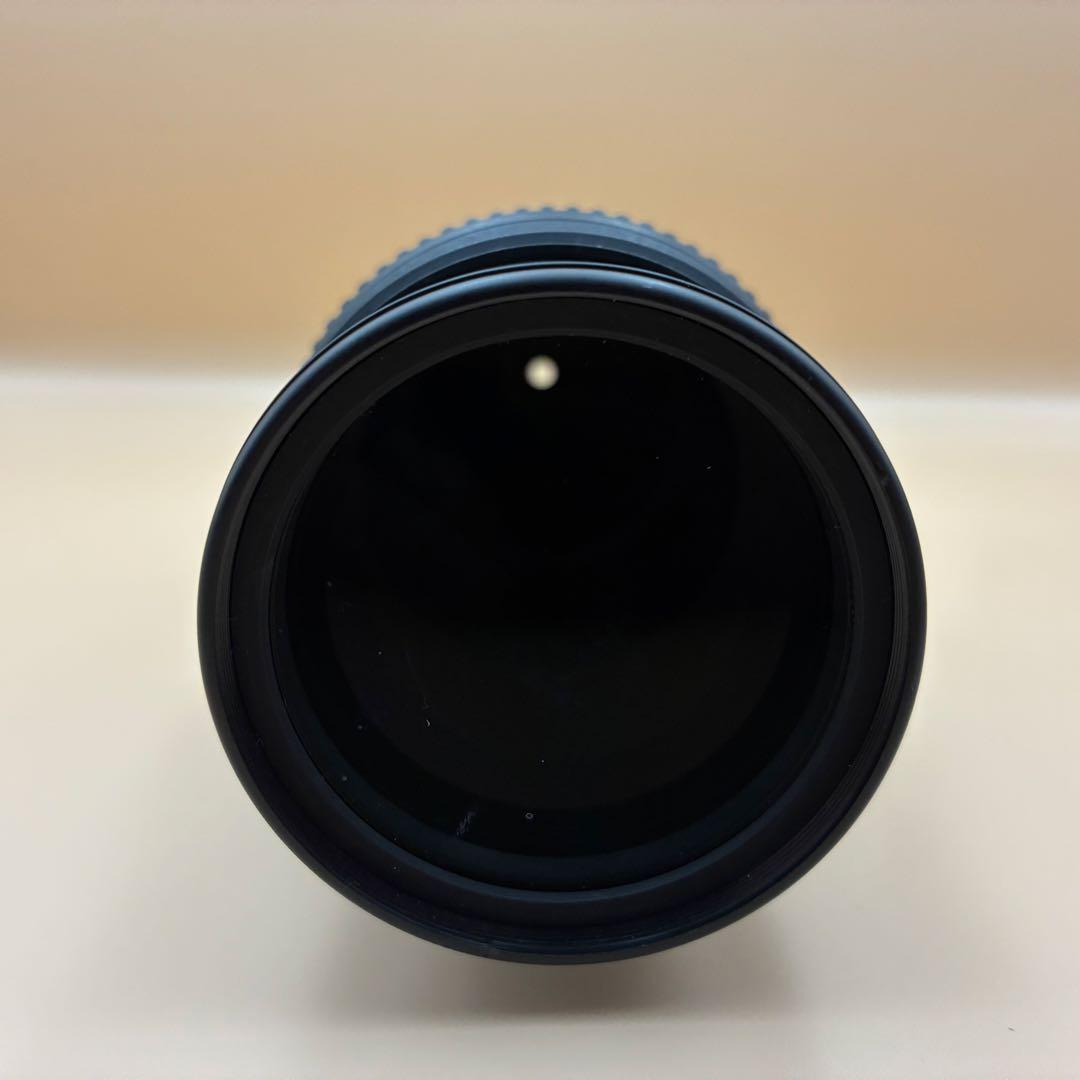 Nikon AF-S 55-300mm VR 超望遠レンズ 一眼レフ 手振れ補正