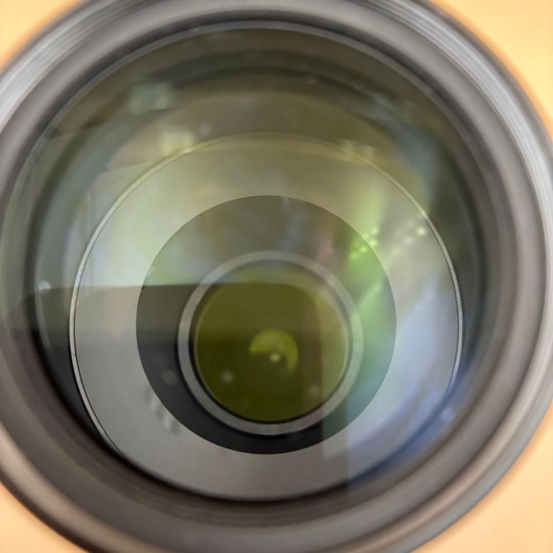 Nikon AF-S 55-300mm VR 超望遠レンズ 一眼レフ 手振れ補正