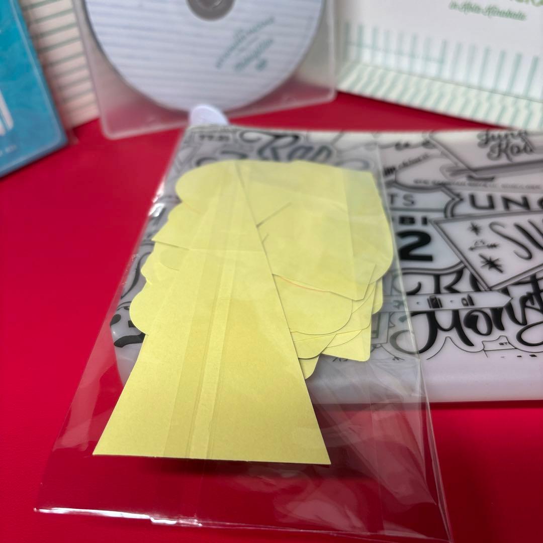 BTS 2015 SUMMER PACKAGE サマパケ DVD テテ V