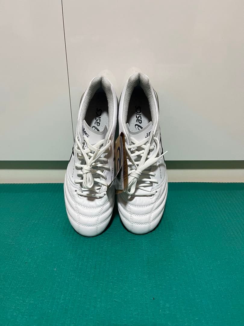 新品　未使用　アシックスDS LIGHT X-FLY 5 25.5 cm