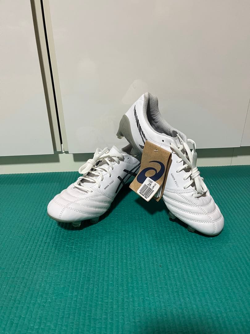 新品　未使用　アシックスDS LIGHT X-FLY 5 25.5 cm