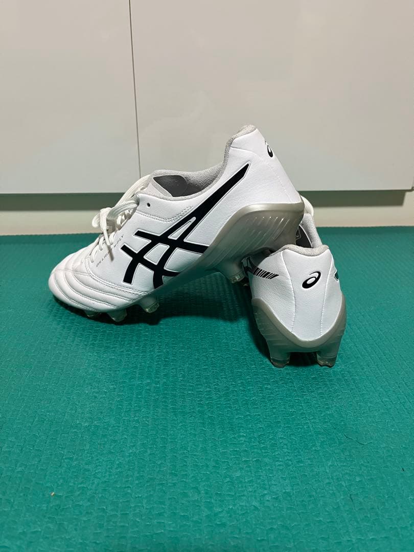 新品　未使用　アシックスDS LIGHT X-FLY 5 25.5 cm