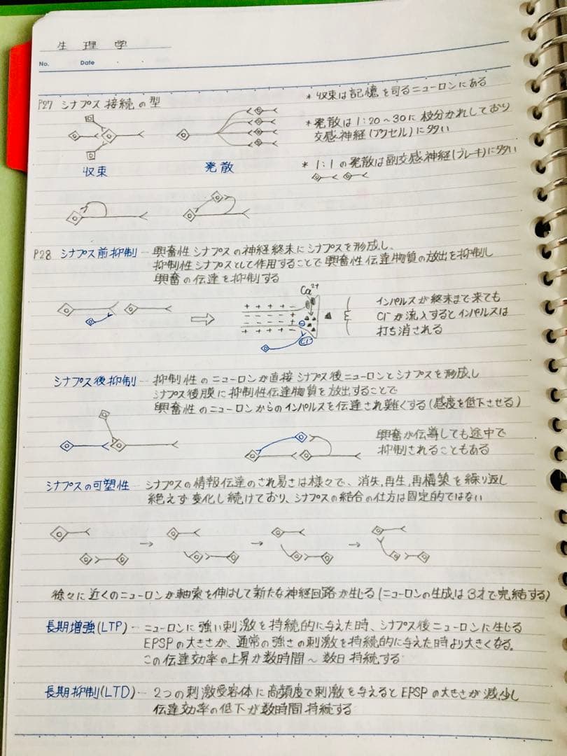医療系学科定期試験、国家試験対策まとめノート【生物系セット】