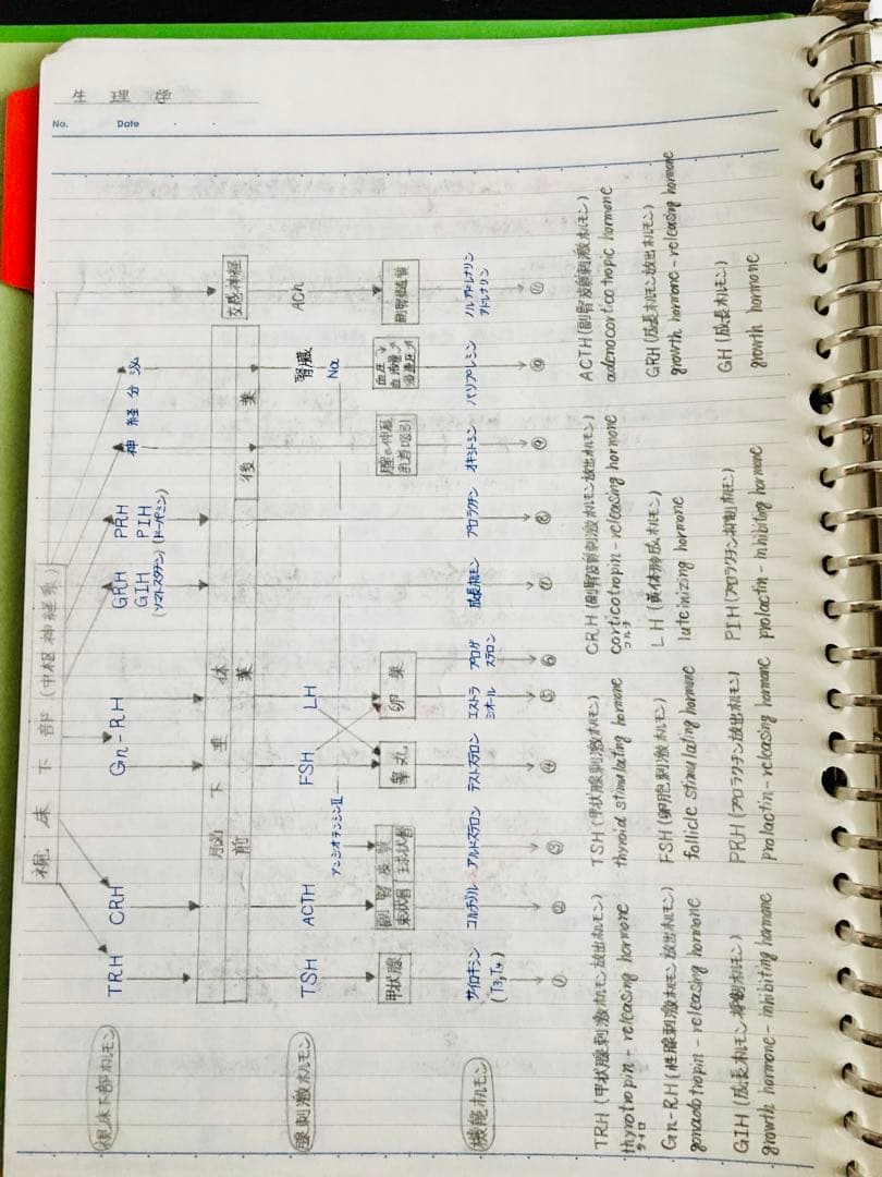 医療系学科定期試験、国家試験対策まとめノート【生物系セット】