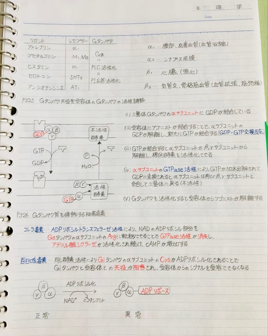 医療系学科定期試験、国家試験対策まとめノート【生物系セット】