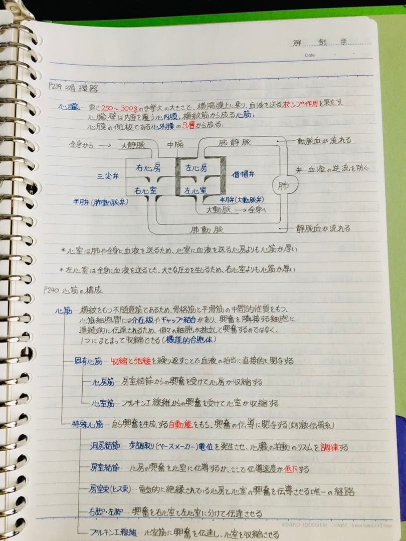 医療系学科定期試験、国家試験対策まとめノート【生物系セット】