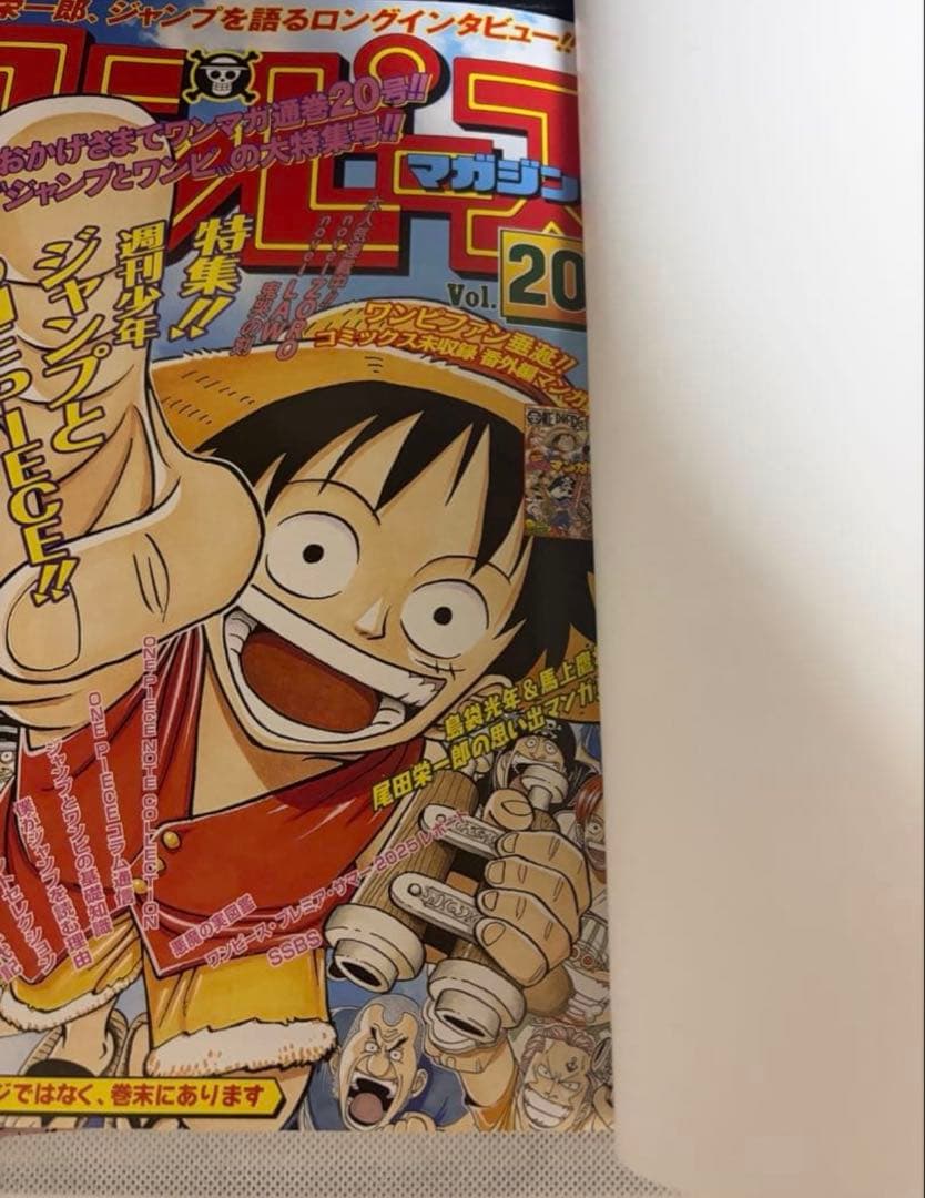 ワンピースマガジン 20号 2冊
