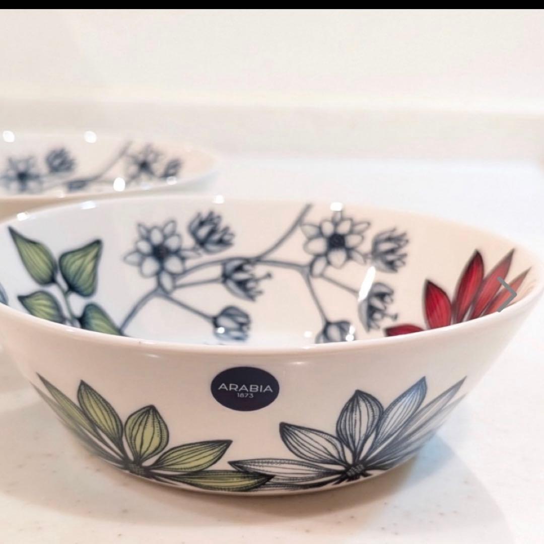 アラビア ルノ サマーレイ ボウル 17cm ARABIA