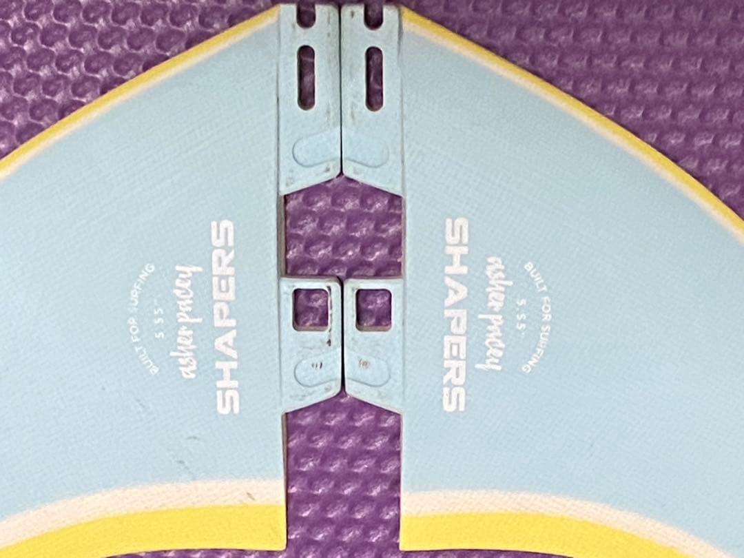 アッシャー・ペイシー fc2 ツインフィン