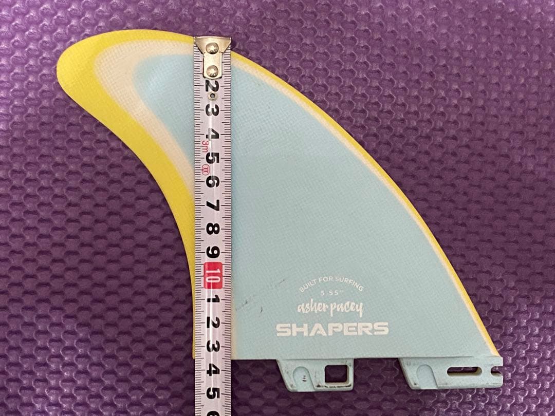 アッシャー・ペイシー fc2 ツインフィン