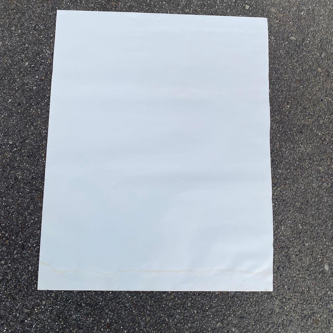 Supreme Lady Gaga Poster シュプリーム ガガ ポスター