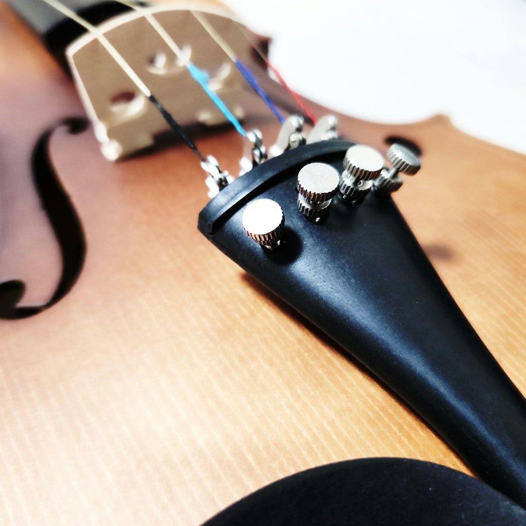 Hallstatt v-12 バイオリン 4/4サイズ ハードケース付き