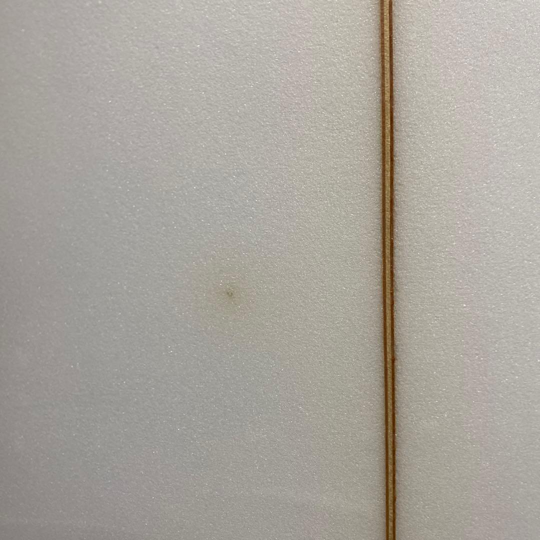 チャネルアイランド G-SKATE 5'8 ジースケート 茨城、栃木、埼玉