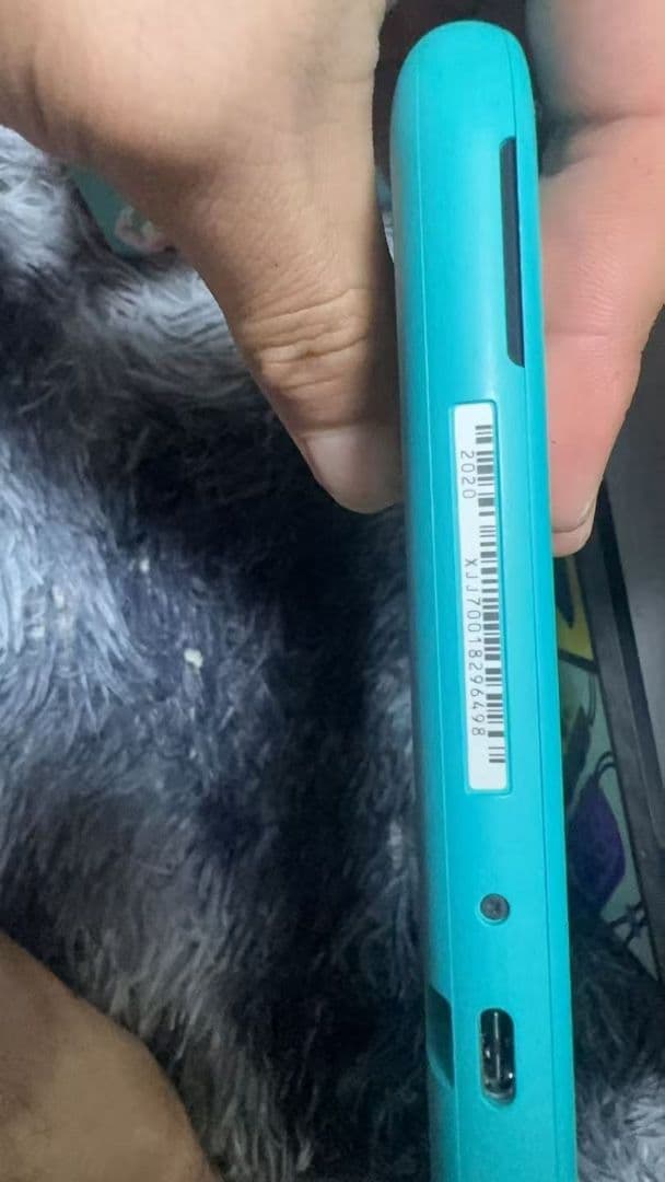 Nintendo Switch Lite ターコイズ 本体 美品