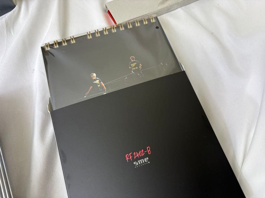 ポルノグラフィティ/20th Anniversary Special Live…