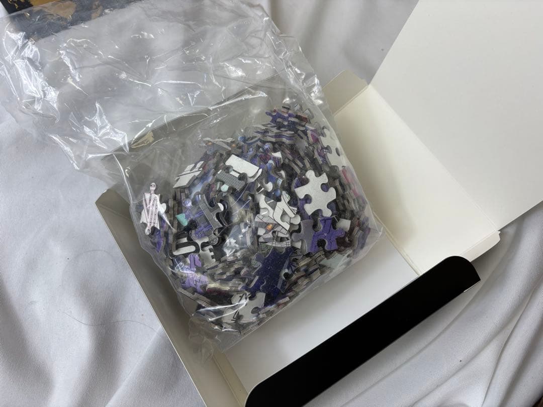 ポルノグラフィティ/20th Anniversary Special Live…