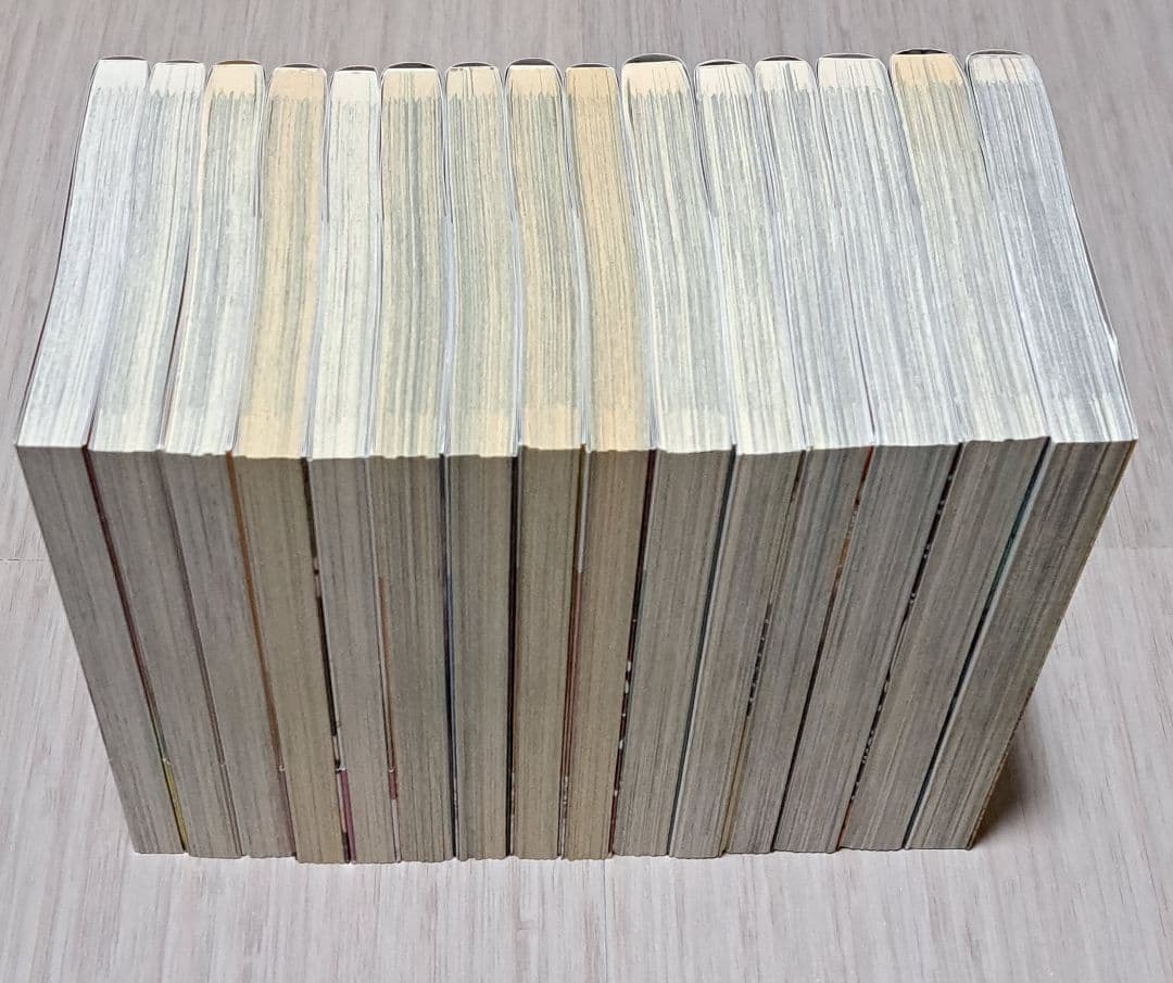 鉄鼠の檻、絡新婦の理、狂骨の夢 他シリーズ 24冊セット 志水アキ 京極夏彦