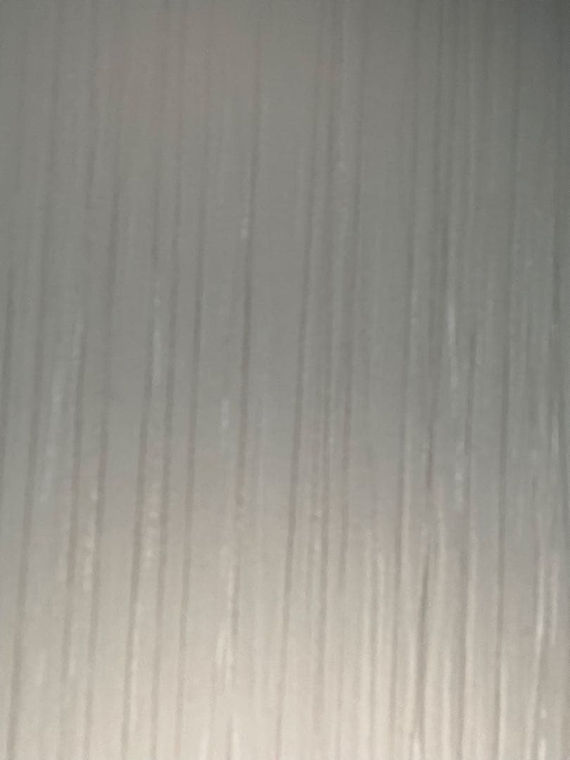 ジャンク品iPhone12