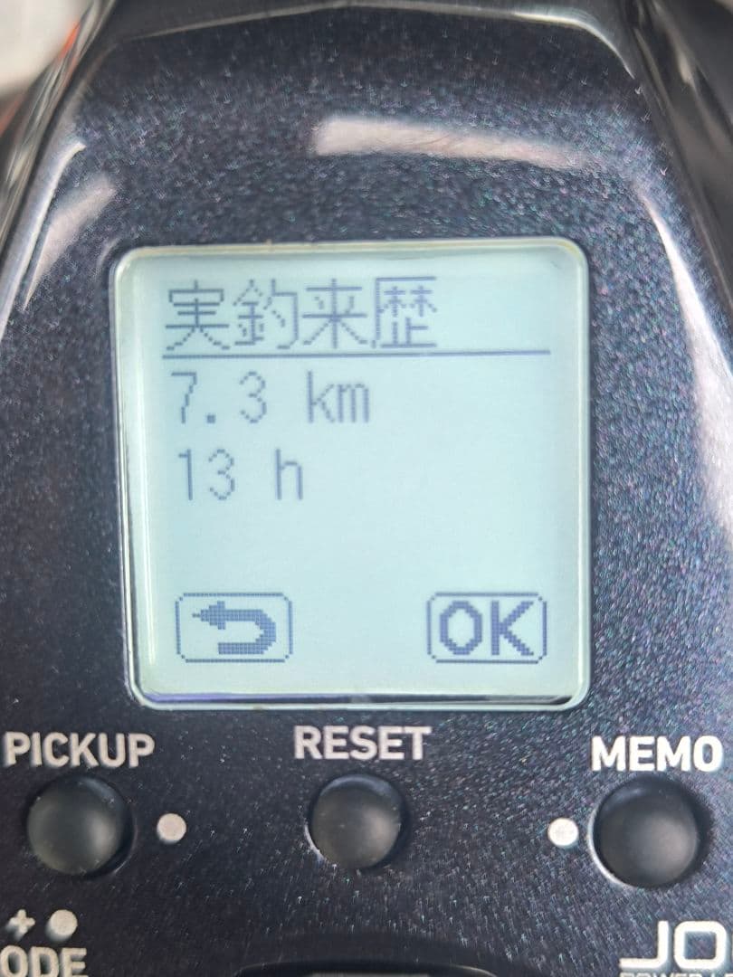 DAIWA 23 LEOBRITZ 300J　電動リール　ダイワ　レオブリッツ