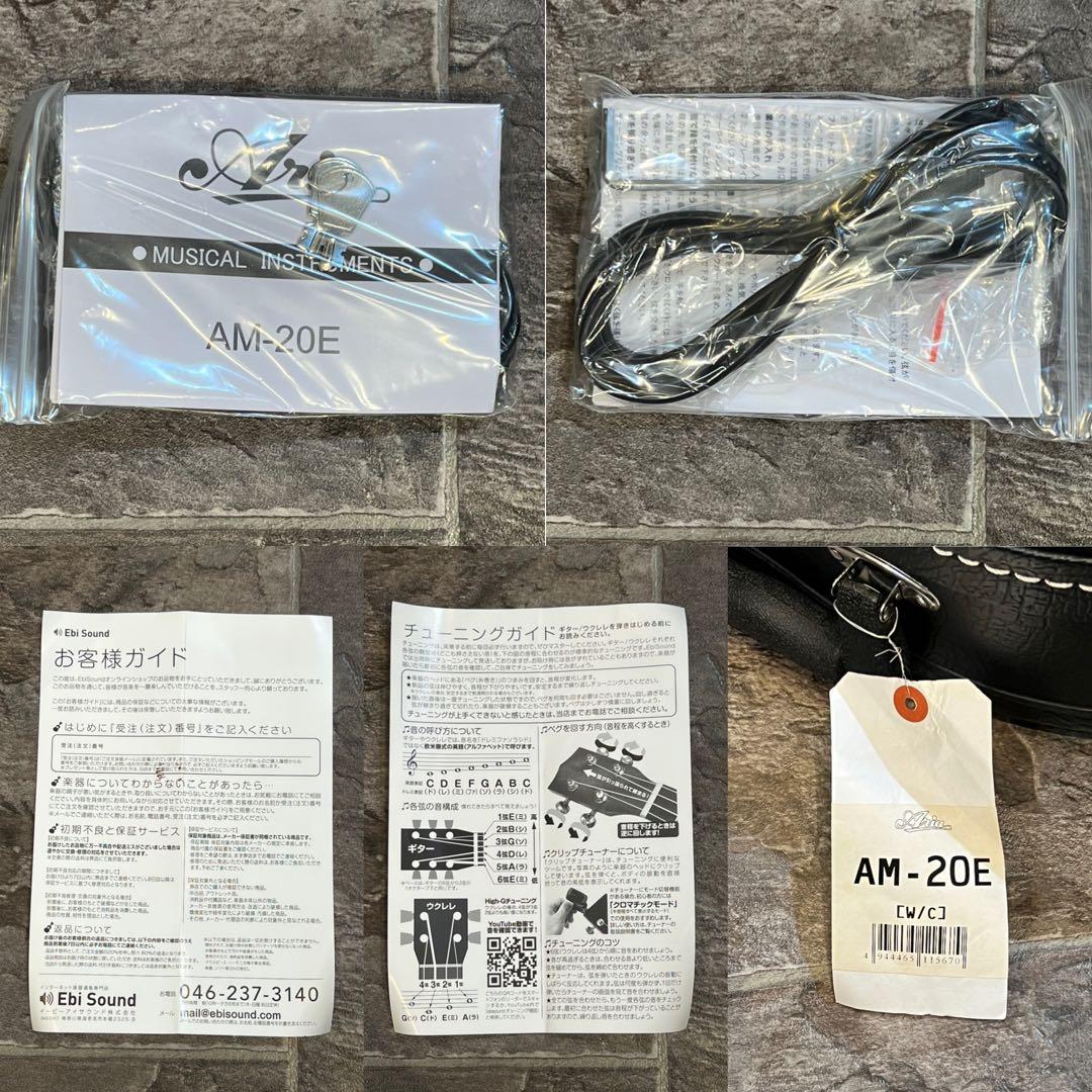 【新品未使用】フラットマンドリン ARIAアリアAM-20E 初心者11点セット