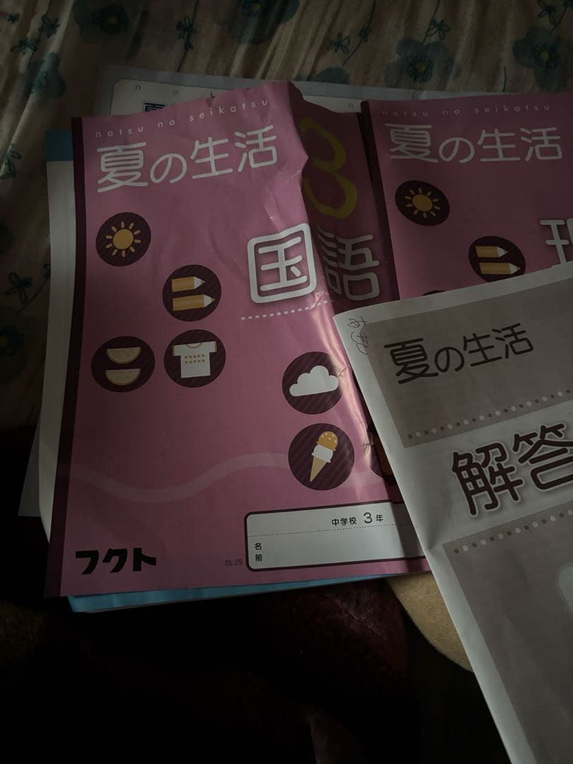 夏休みの宿題[国語 理科 英語セット(答え有)]中学三年生