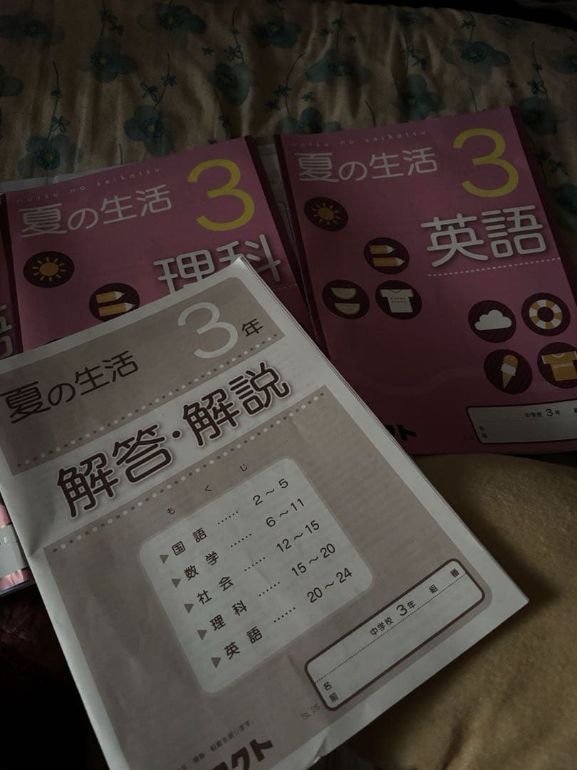 夏休みの宿題[国語 理科 英語セット(答え有)]中学三年生