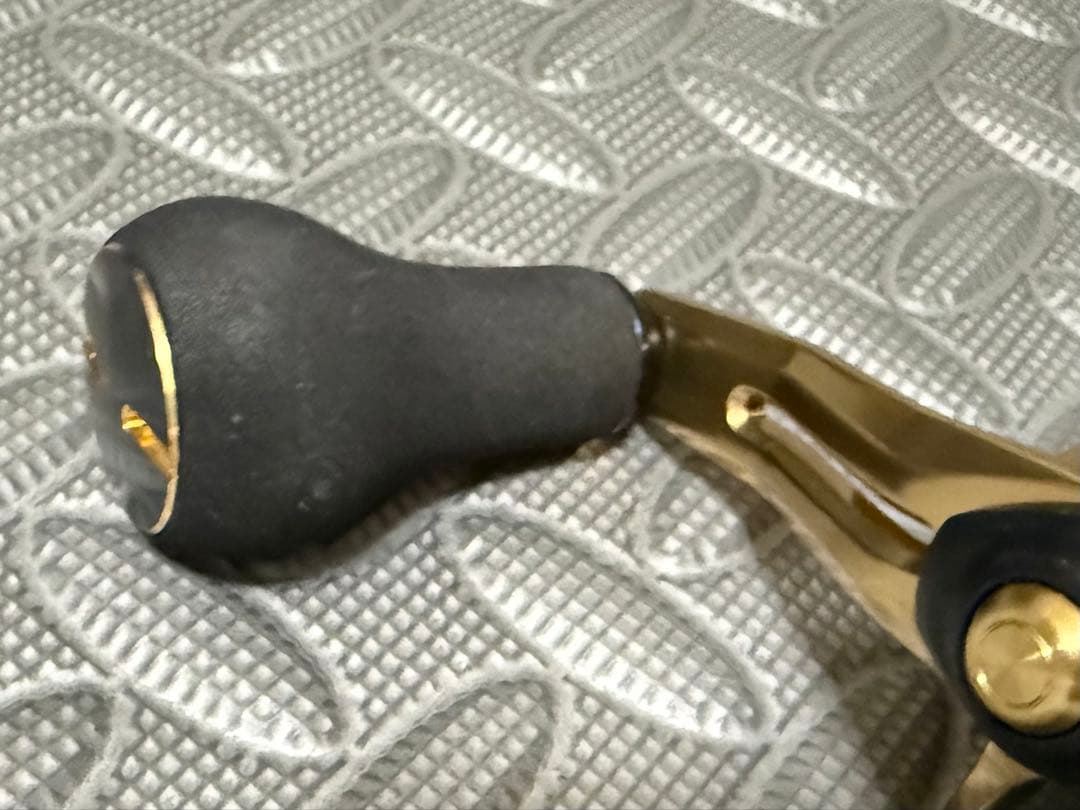 ダイワ ソルティガ IC 100PL-DH