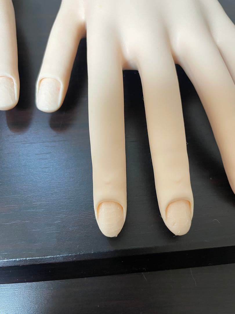 JNEC認定モデルハンド本体