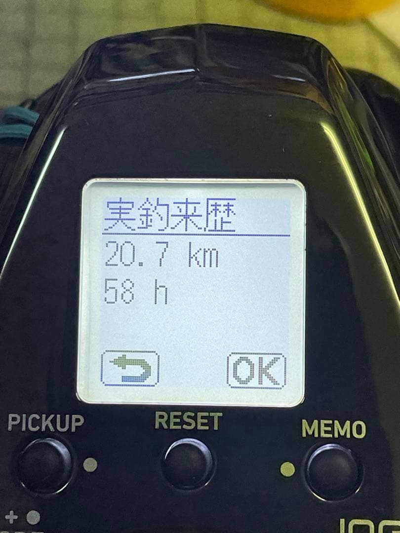 DAIWA ２１SEABORG 300J ダイワ21シーボーグ300J