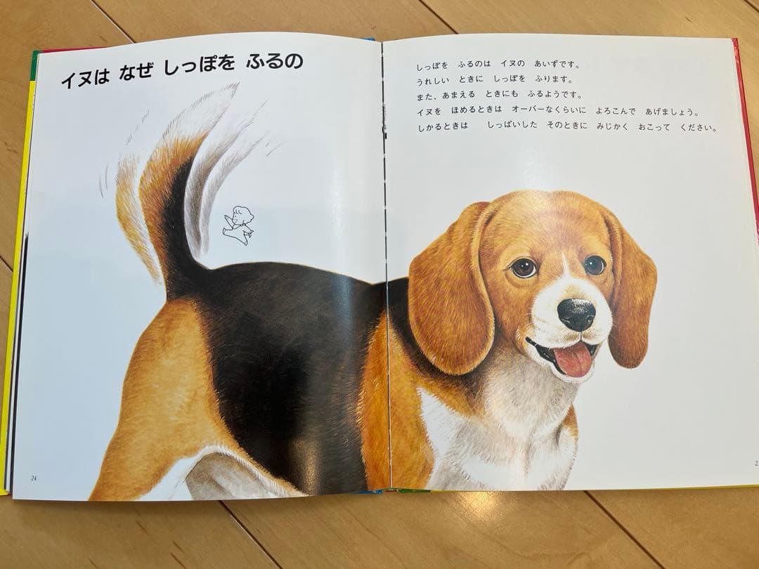 なぜなにブック　家庭保育園第4教室 22巻フルセット