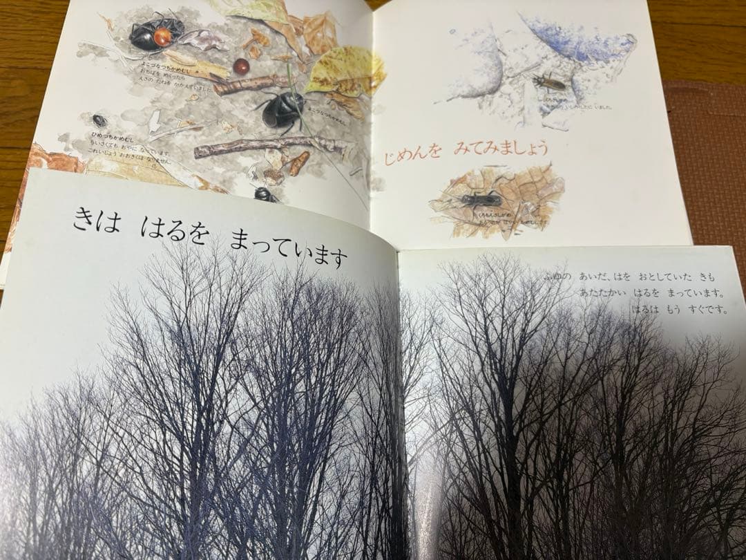 最終値下げ　キンダーブックしぜん　37冊