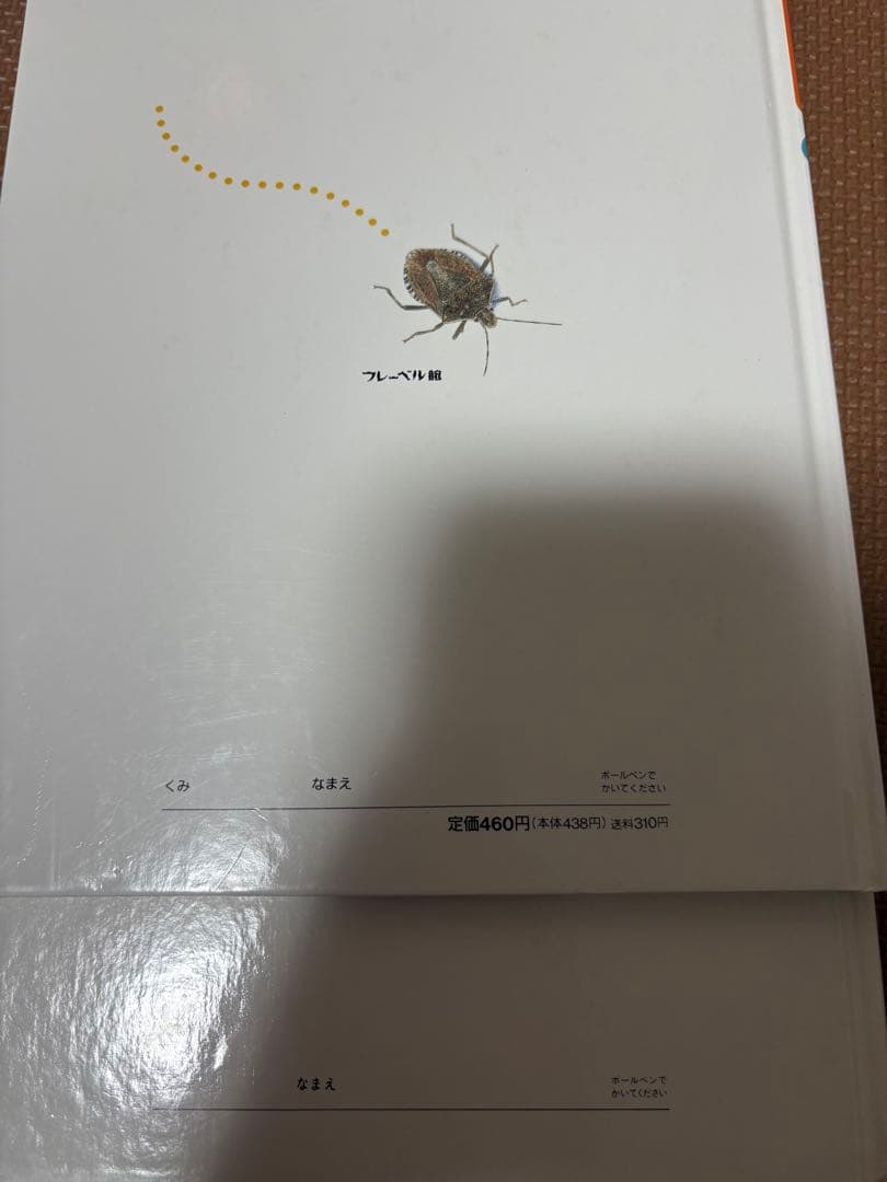 最終値下げ　キンダーブックしぜん　37冊