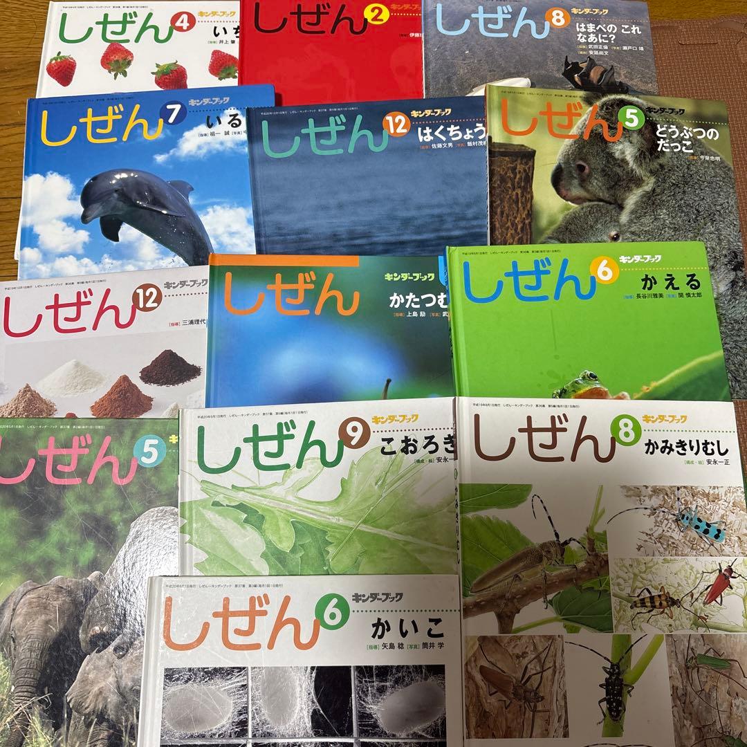 最終値下げ　キンダーブックしぜん　37冊