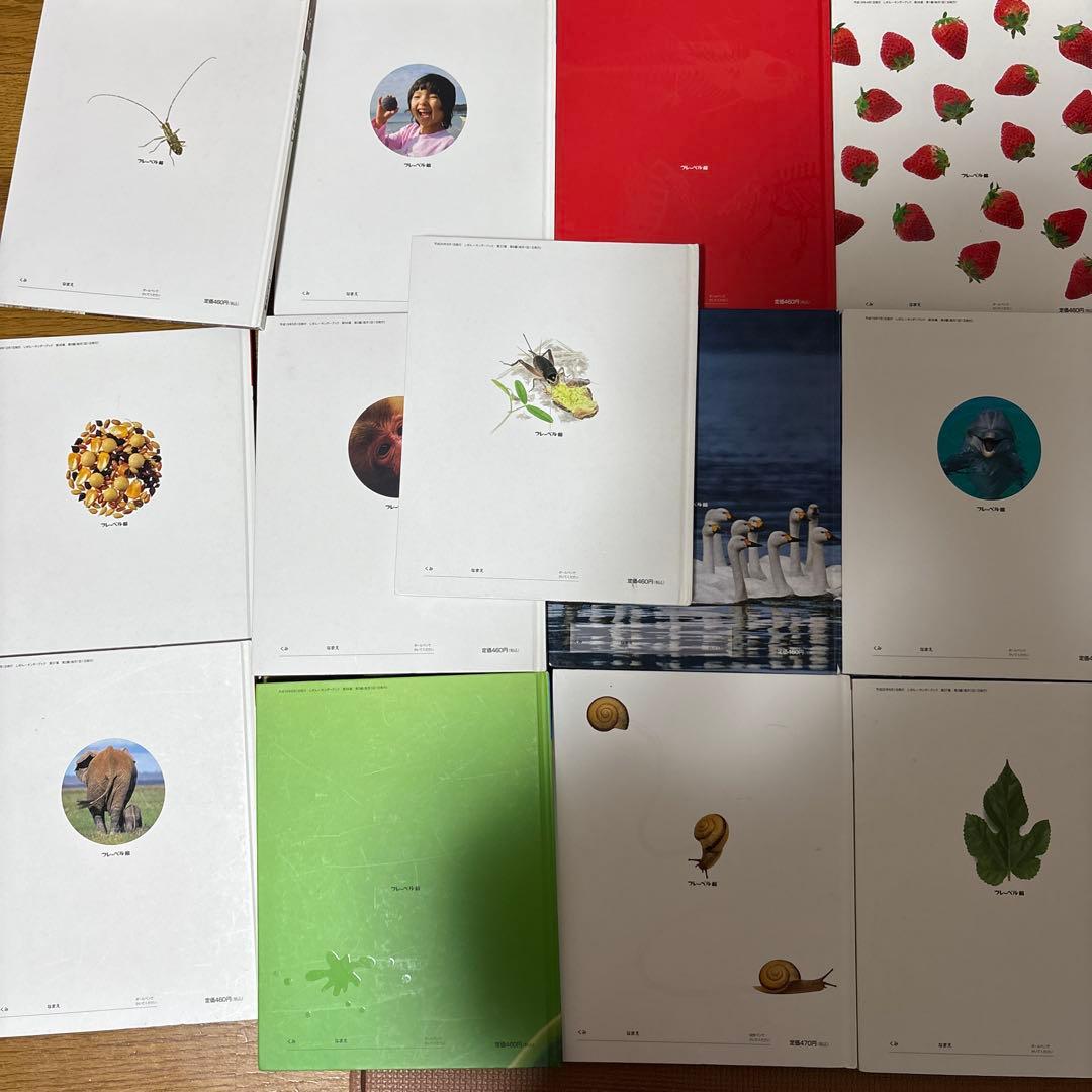 最終値下げ　キンダーブックしぜん　37冊