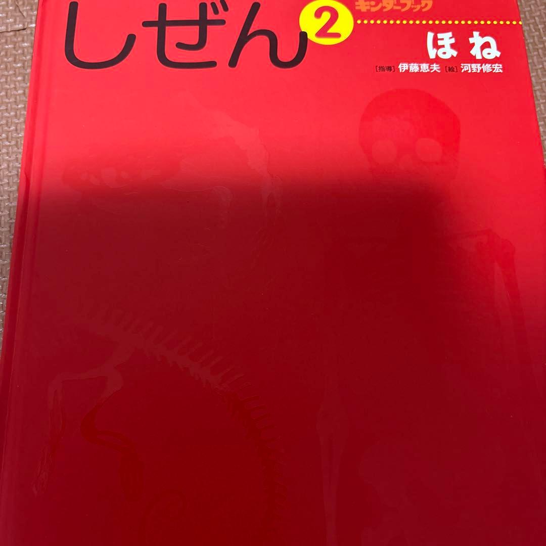 最終値下げ　キンダーブックしぜん　37冊