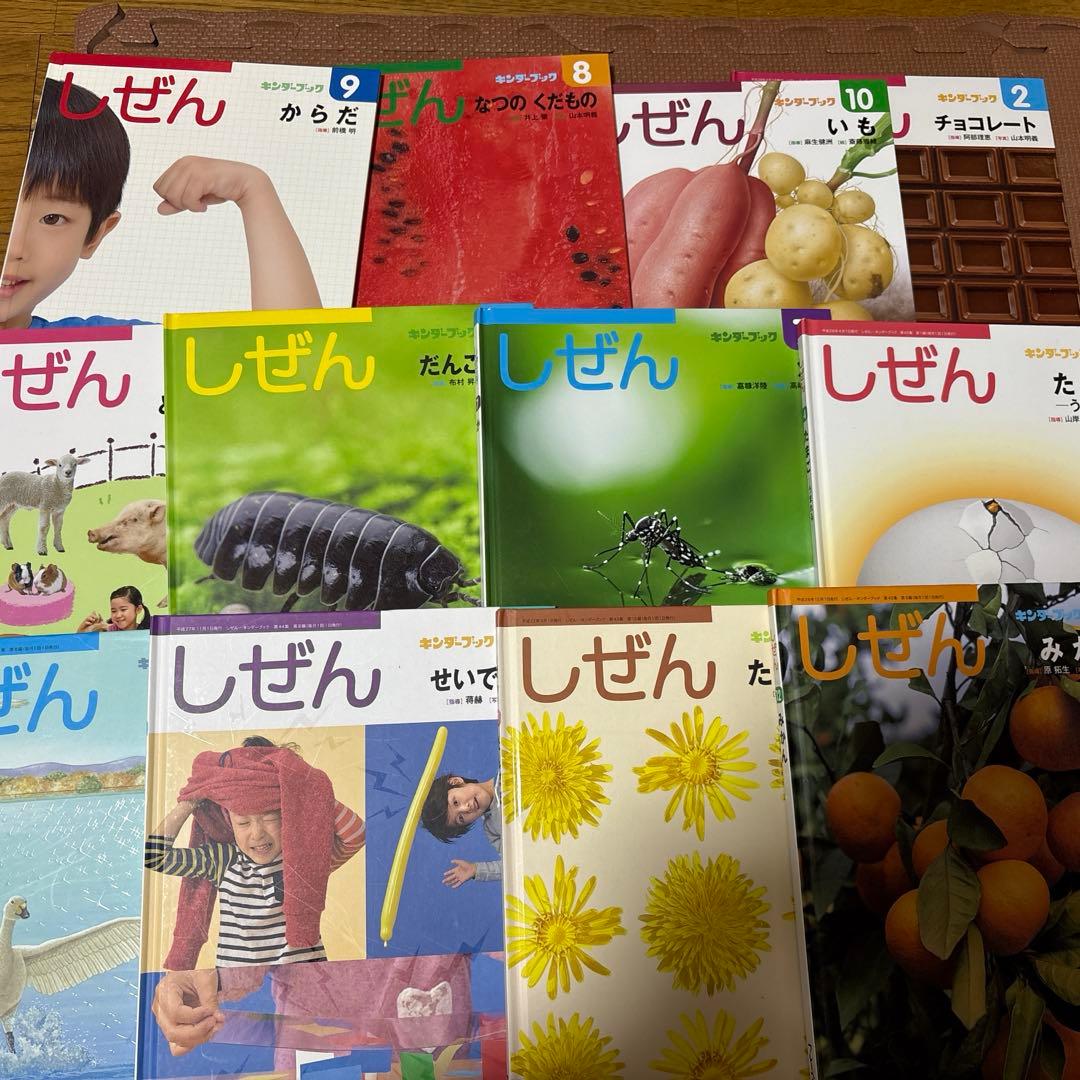 最終値下げ　キンダーブックしぜん　37冊
