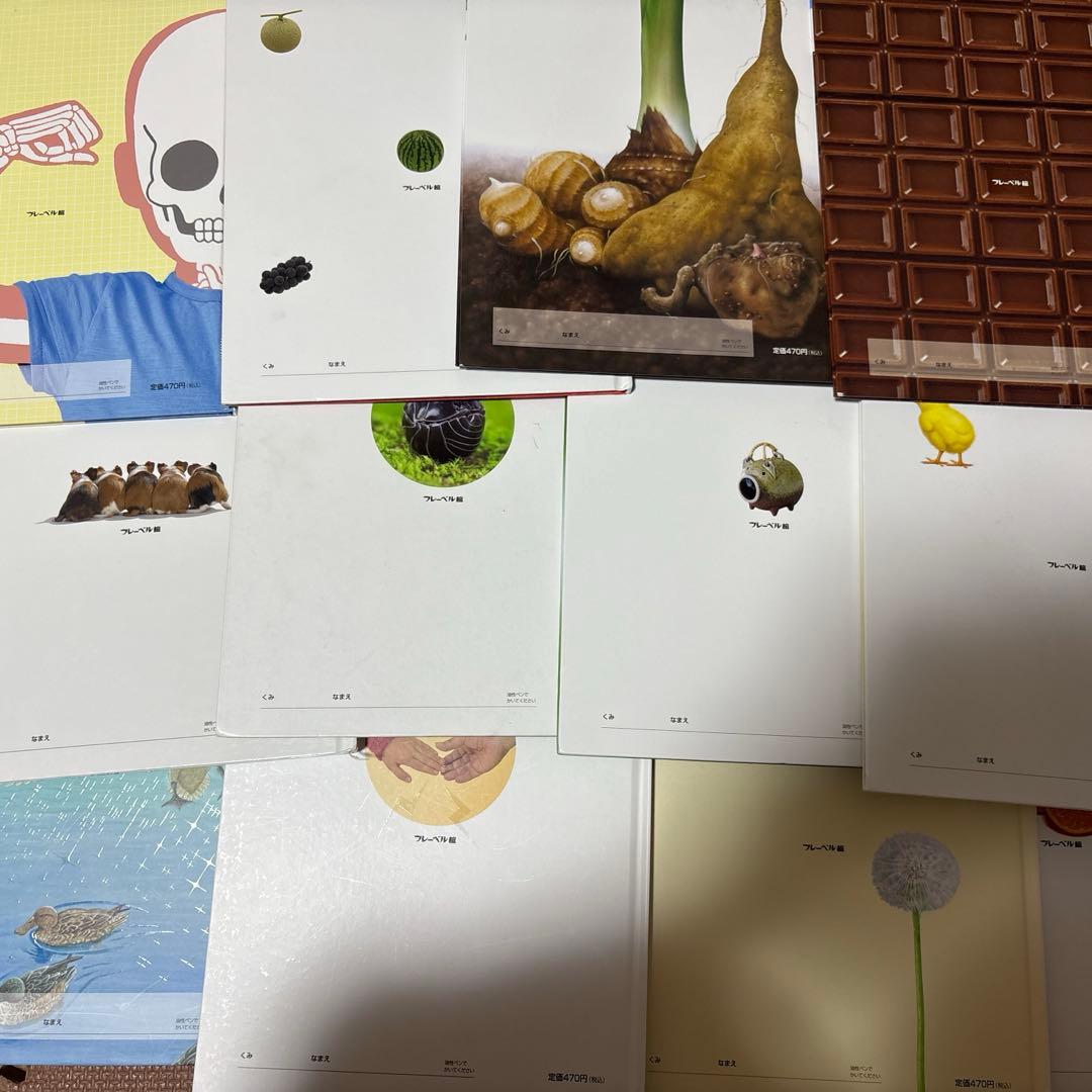 最終値下げ　キンダーブックしぜん　37冊