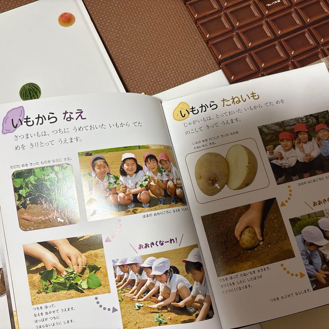 最終値下げ　キンダーブックしぜん　37冊