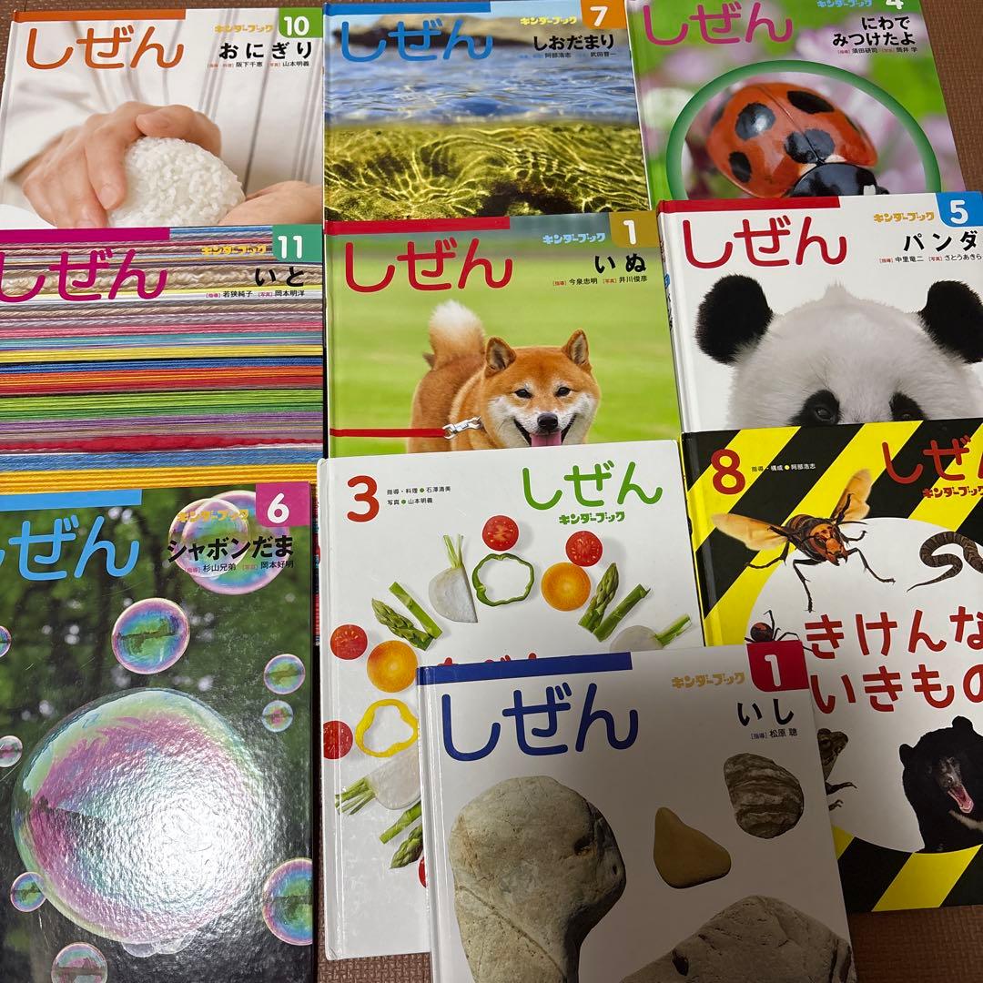 最終値下げ　キンダーブックしぜん　37冊